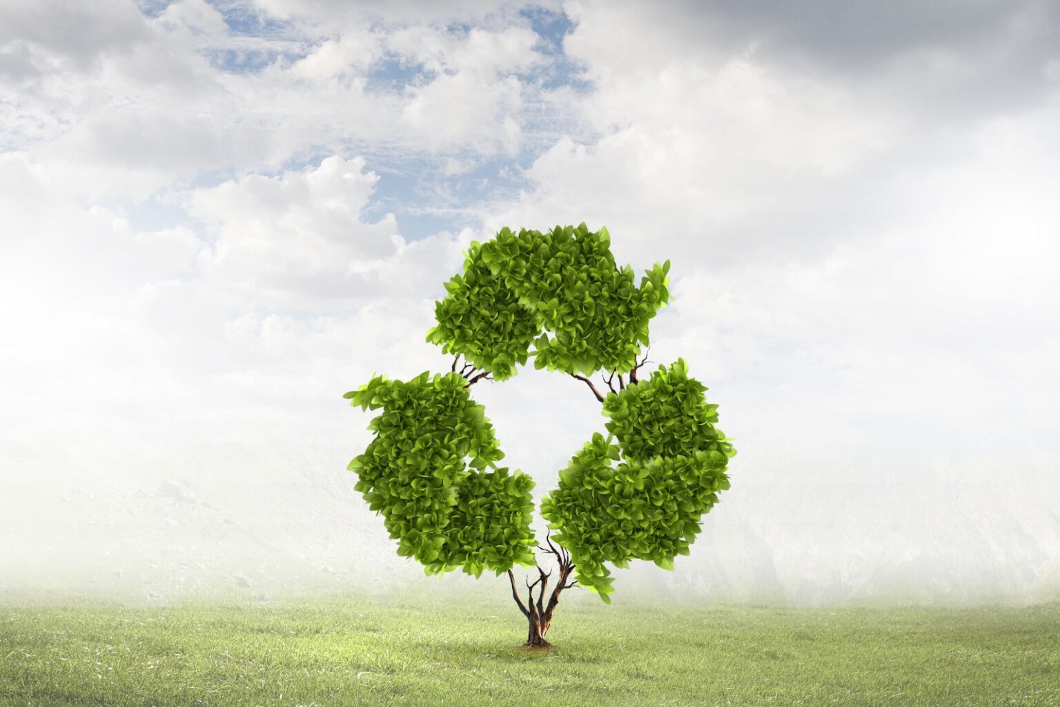 how-recycle-pick-up-services-can-help-reduce-landfill-waste-stationxp