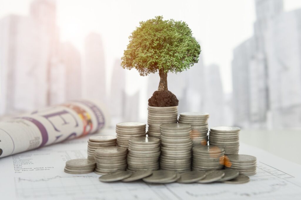 investment (1)
